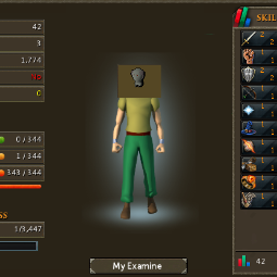 9 Hp | Zombie Head | 1 QP | 1774 Xp | 20 Year Veteran | No Email Registered | 9Hp | Skiller | 9 Hitpoints | 3 0
